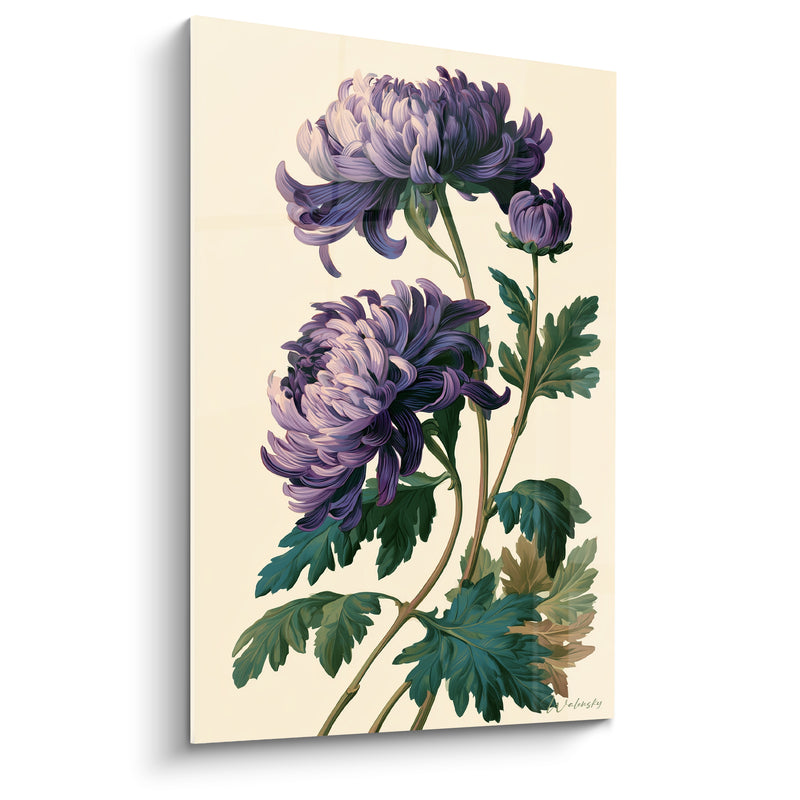 Tableau Chrysanthèmes violets aux pétales veloutés - Éveil botanique - Edition Chrysanthème