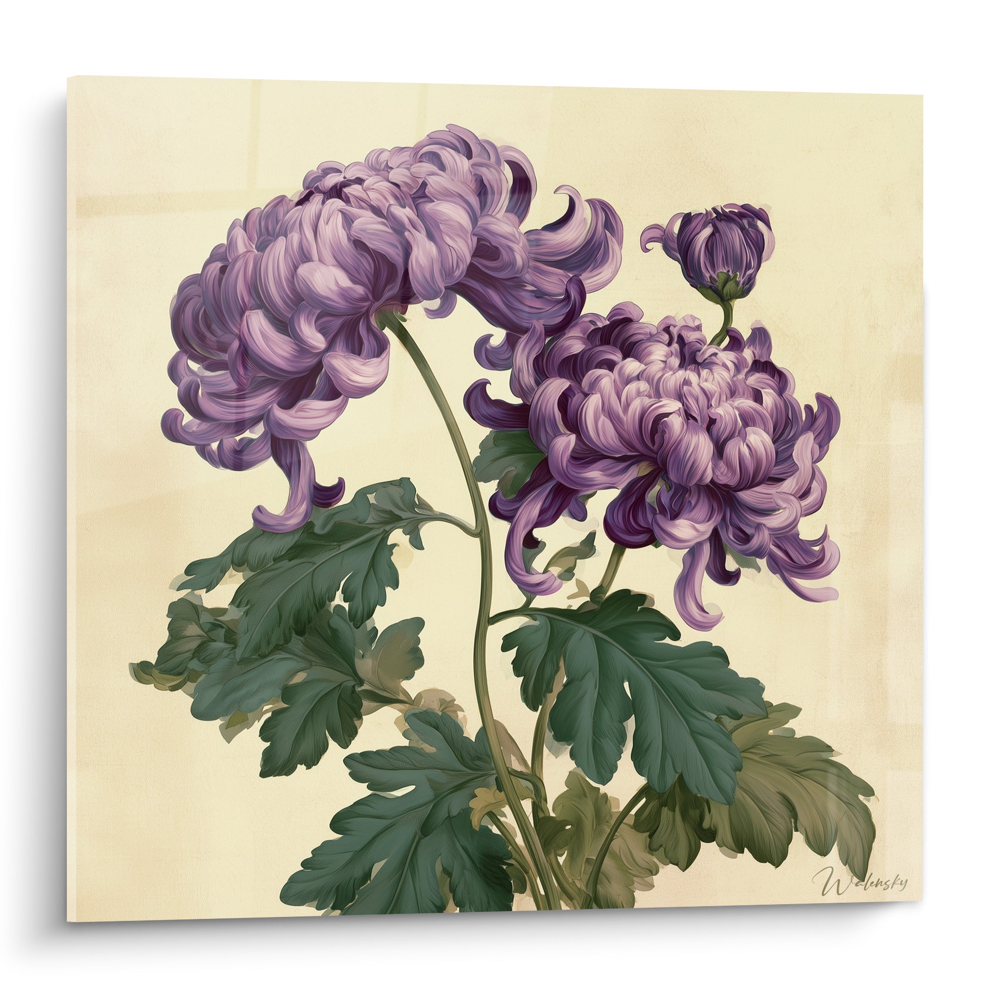 Chrysanthème violet aux pétales incurvés peint sur un fond ivoire texturé et lumineux