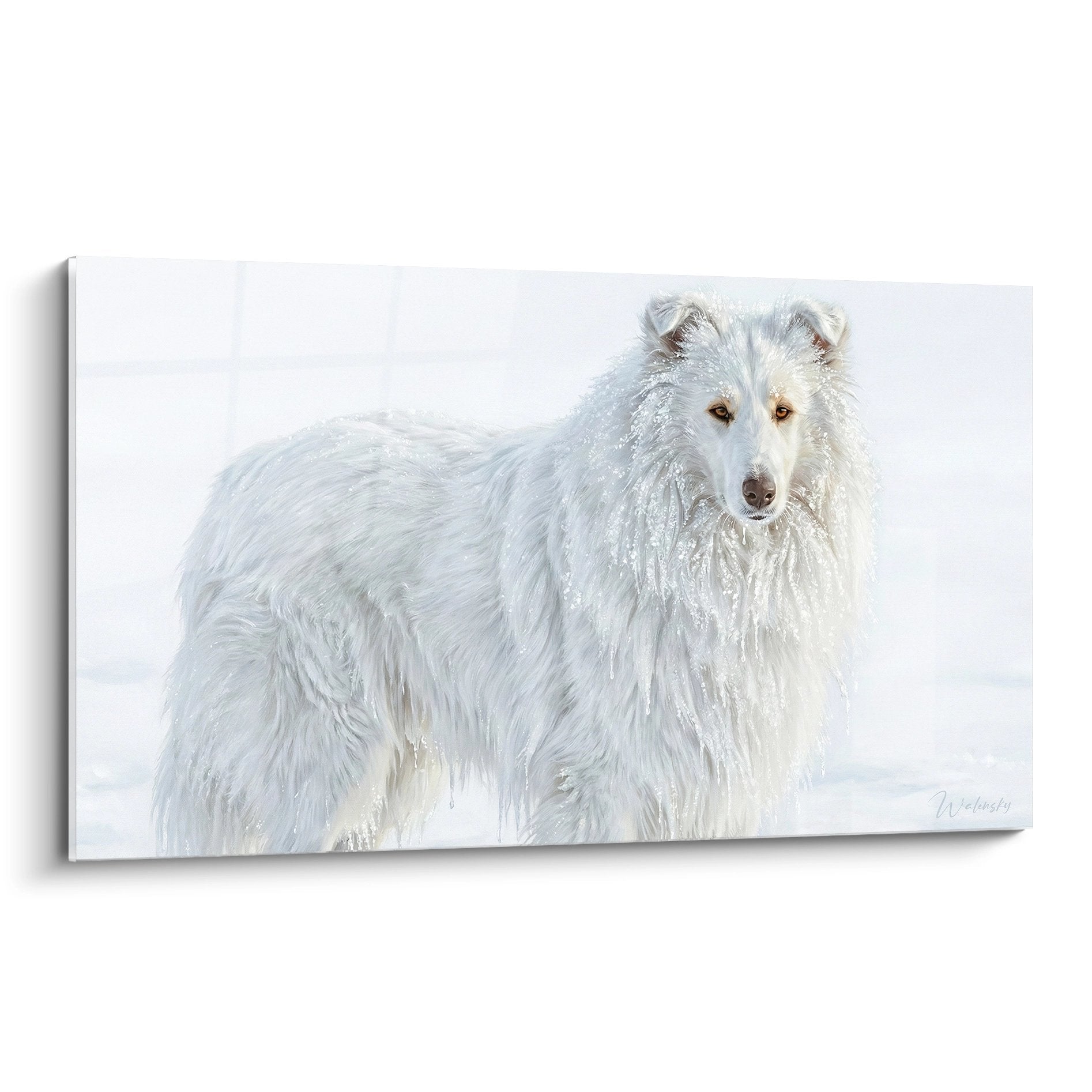 Portrait artistique d'un Collie blanc aux yeux ambrés dans la neige, tableau mural décoratif édition Collie