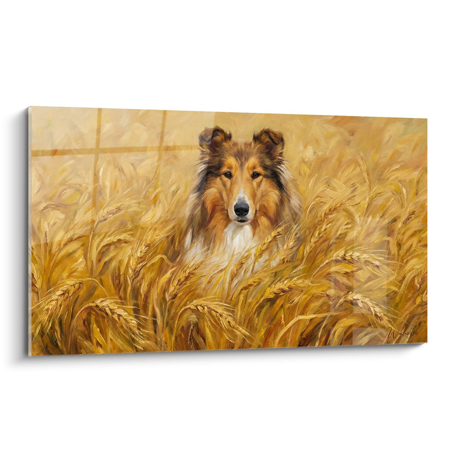 Schilderij van een Rode Collie in Gouden Korenvelden - Rustieke Landelijke Sfeer - Editie Collie