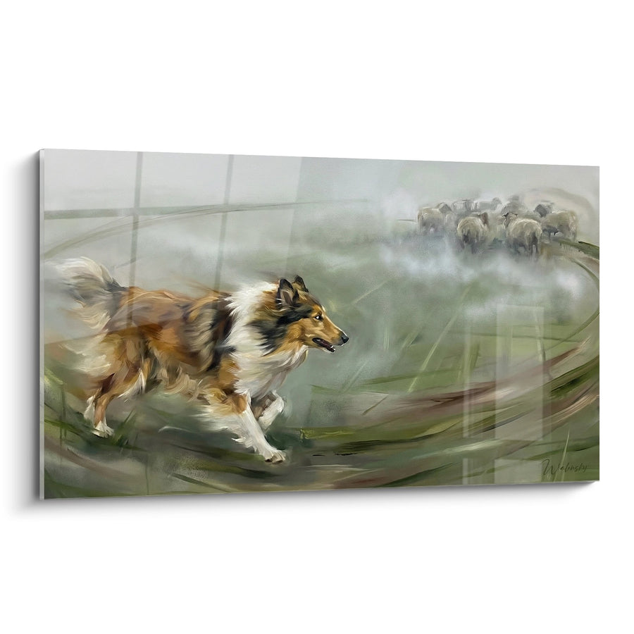 Tableau Chien de Berger en Course Dynamique - Énergie Pastorale - Edition Collie