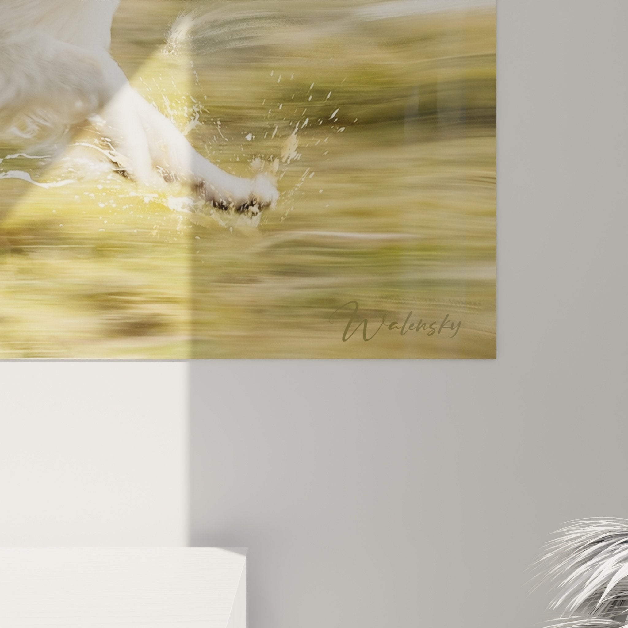Vue d'ensemble tableau Collie aquatique dans salon contemporain avec éclairage ambiance chaleureuse