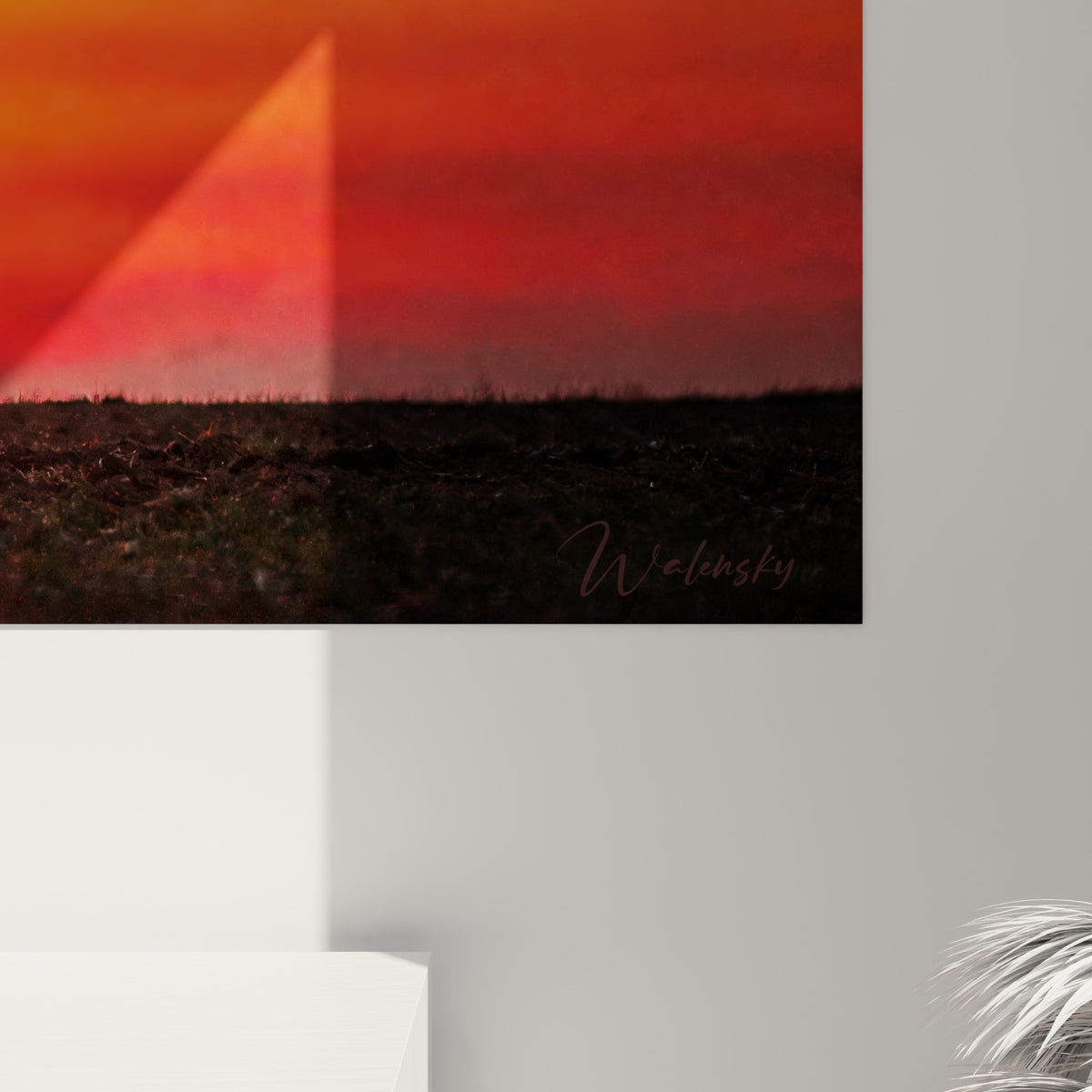 Détail du grain de l'impression révélant les nuances orangé, rouge et pourpre du ciel crépusculaire autour de la colombe