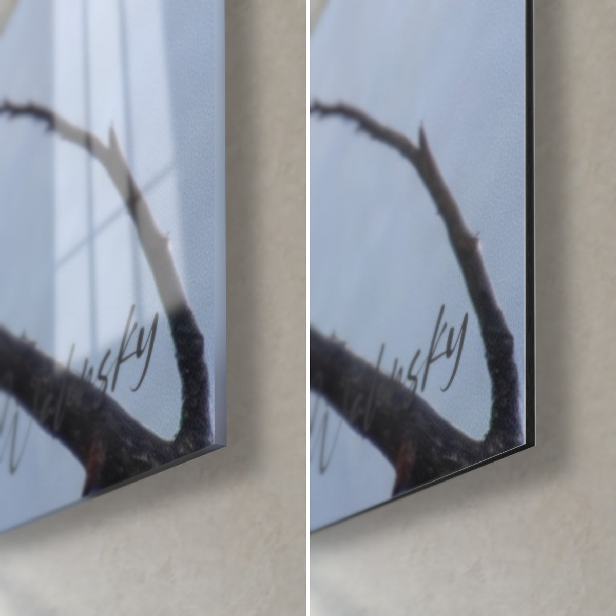 Gemälde graublauer Vogel auf brauner Zweig, untere rechte Ecke: glänzendes Acrylglas links, mattes schwarzes Aludibond rechts