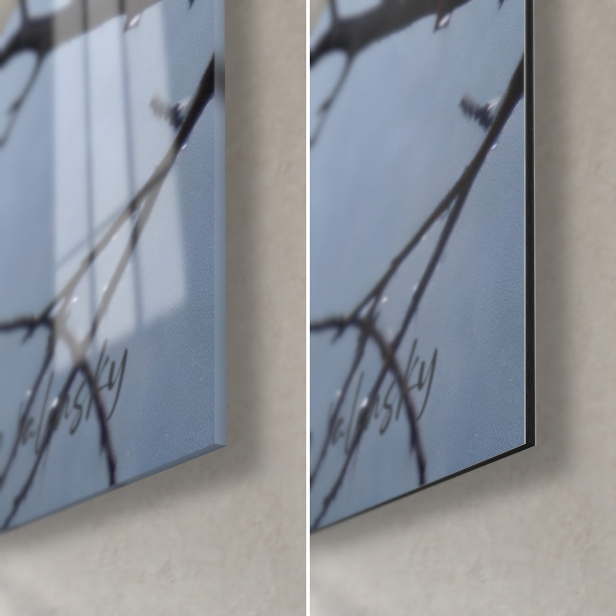 Tableau oiseau gris sur rameau fin, coin bas droit : verre acrylique brillant et reflets à gauche, Dibond mat à droite, tranche de 3 mm