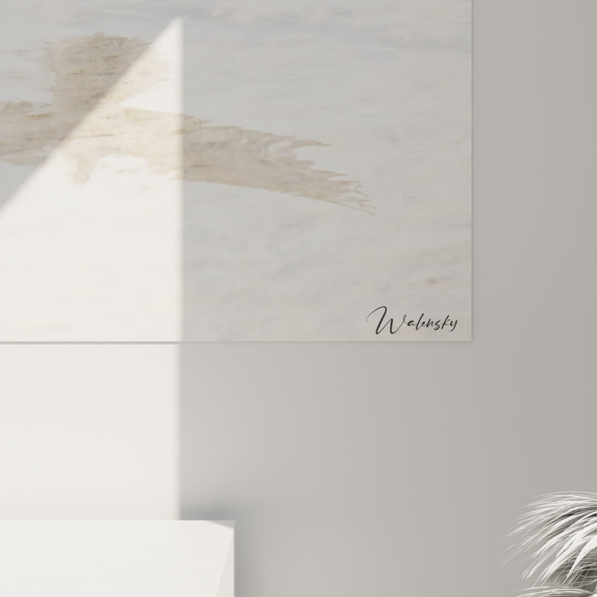 Détail des plumes gris perle et blanches de la colombe, grain fin et reflet doré visibles de près