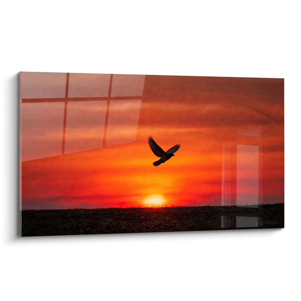 Tableau Colombe silhouette rouge et orangé au coucher de soleil - Envol du crépuscule - Edition Colombe