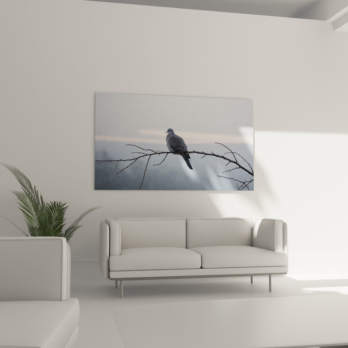 Silhouette de colombe aux tons gris perle sur branche, au-dessus d'un canapé dans un salon lumineux