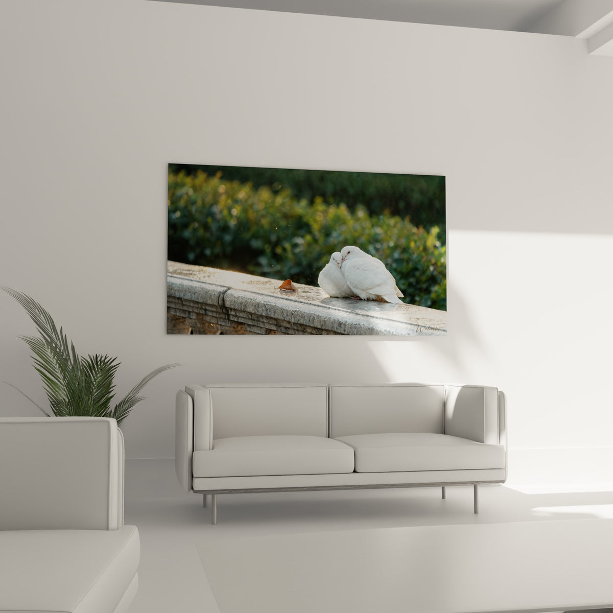 Deux oiseaux blancs nichés sur pierre ancienne, feuille orangée au sol, au-dessus d'un canapé dans un salon lumineux