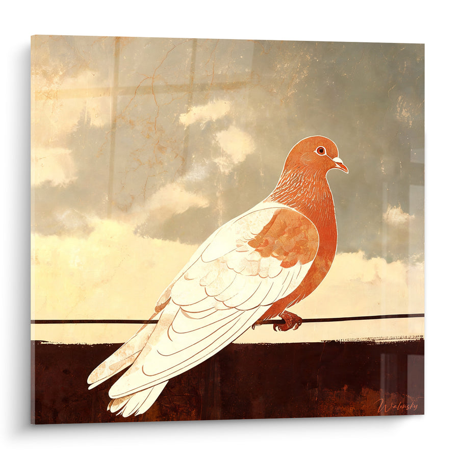 Tableau Pigeon roux et blanc sur un fil - Halte sur le fil - Edition Colombe