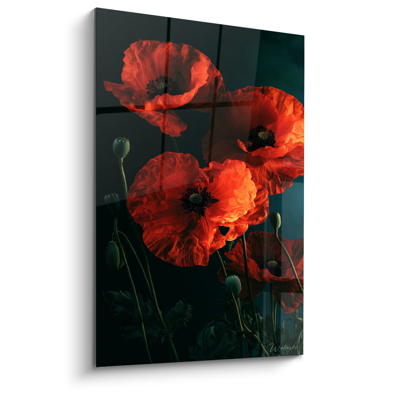 Tableau Coquelicots rouges et fond vert sombre profond - Boutons fermés dressés - Edition Coquelicot