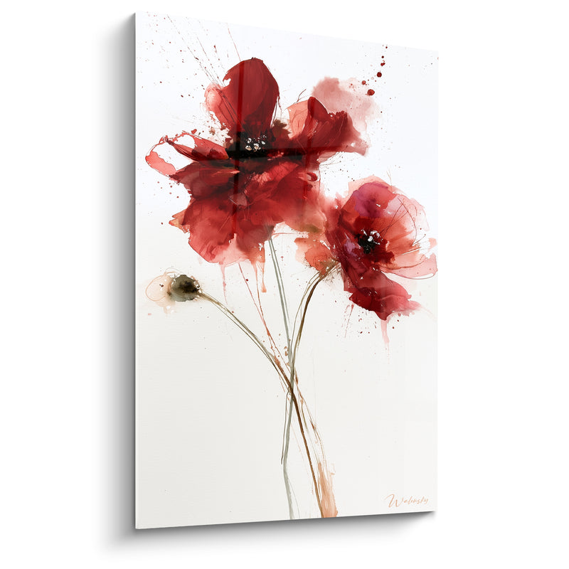 Tableau Coquelicots rouges et bruns aux éclaboussures fines - Bouton fermé penché isolé - Edition Coquelicot