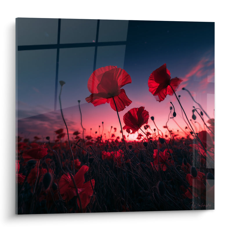 Tableau Coquelicots rouges au champ crépuscule - Silence du crépuscule - Edition Coquelicot