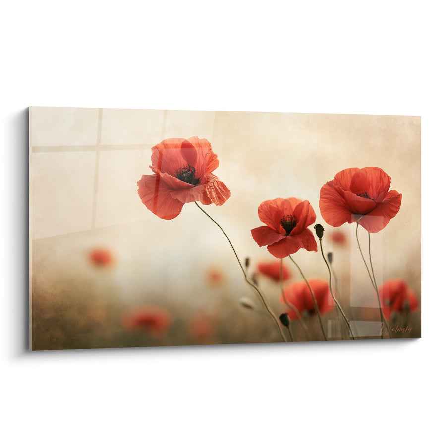 Tableau Coquelicots rouges et beige aux formes géométriques transparentes - Boutons filiformes penchés - Edition Coquelicot
