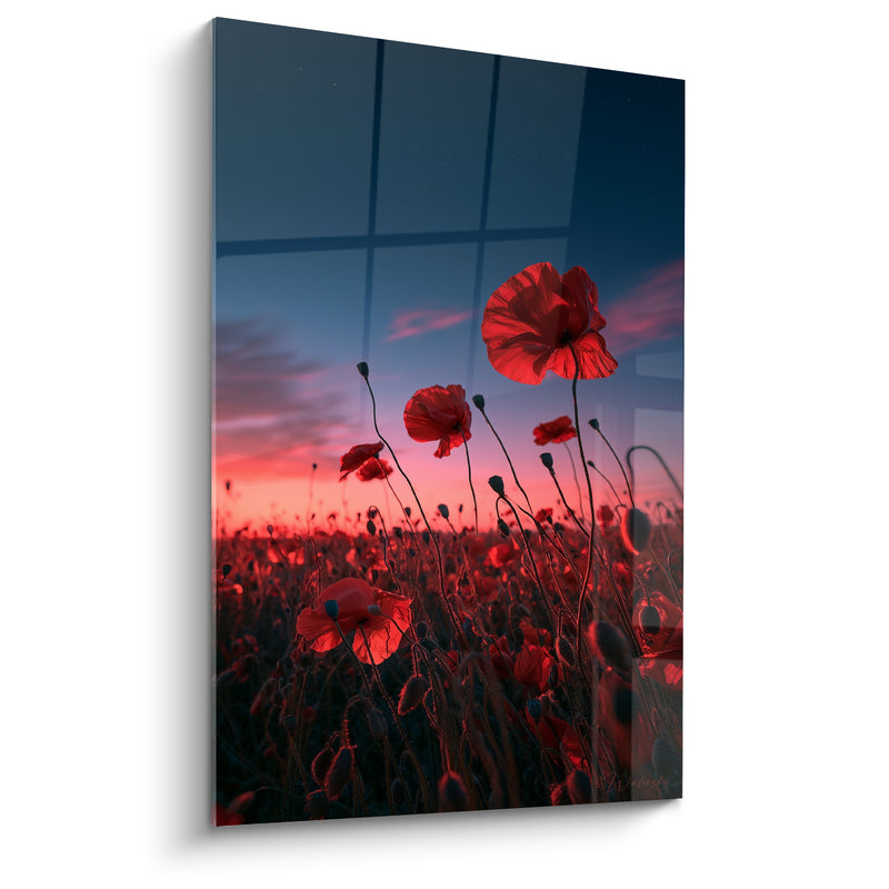 Tableau Champ de coquelicots rouge et bleu nuit - Veille du crépuscule - Edition Coquelicot