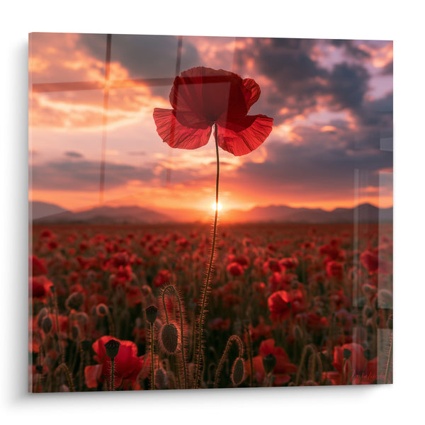 Red Poppy and Orange Sky at Sunset Painting - Twilight Glow - Poppy Edition