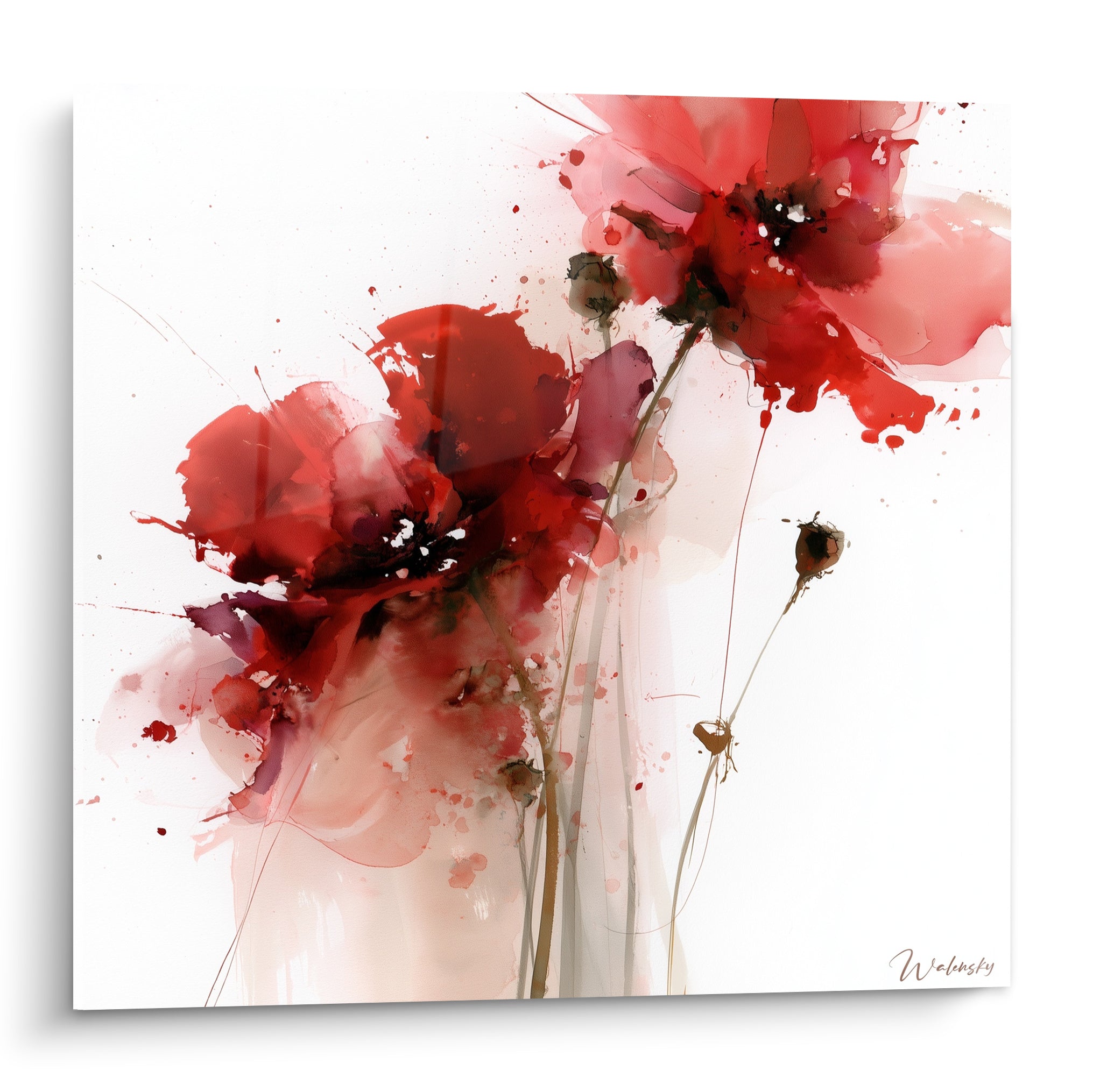 Coquelicots rouges et bordeaux éclaboussés en aquarelle sur fond blanc immaculé, tiges brunes fines