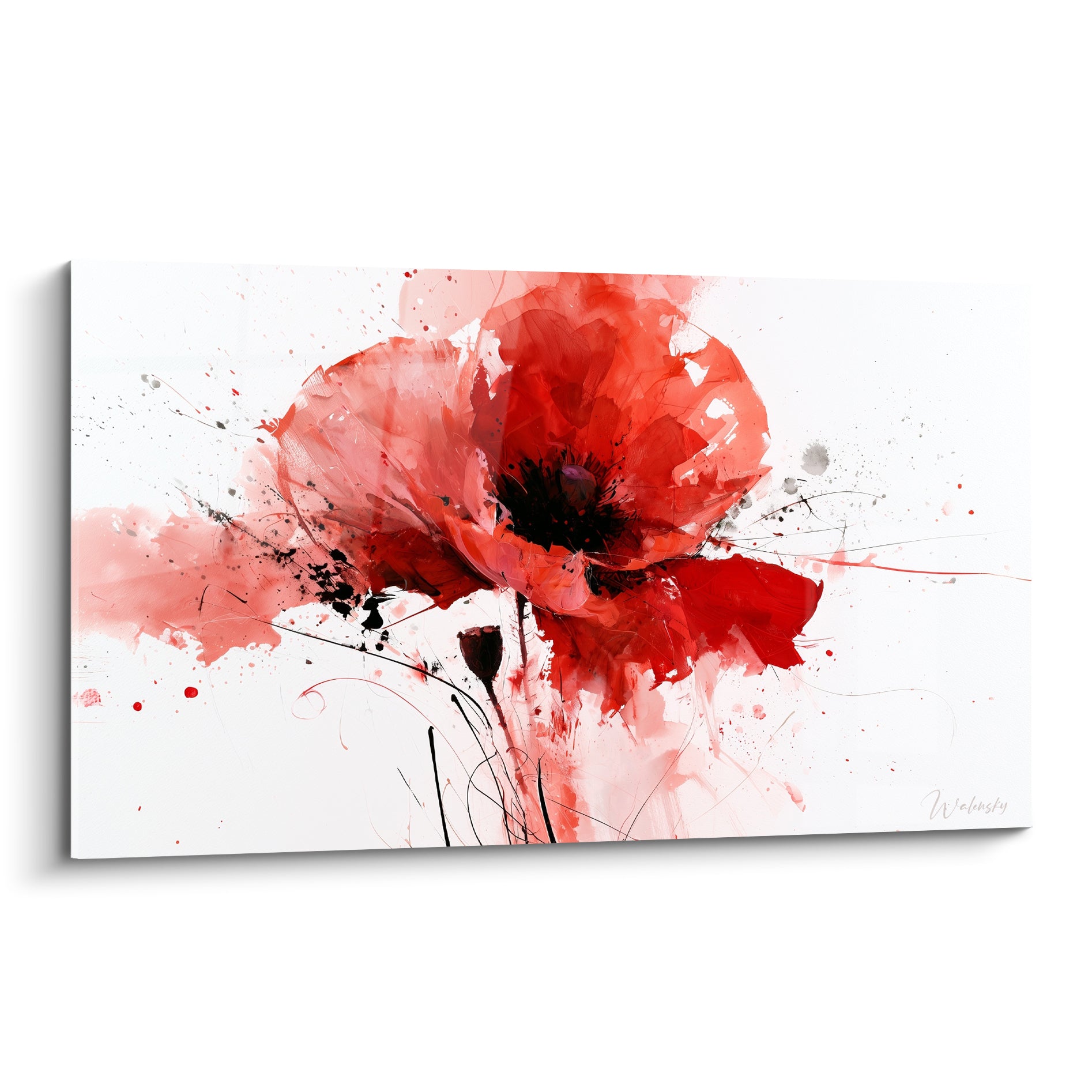 Coquelicot rouge vif aux éclaboussures noires sur fond blanc, style aquarelle expressive