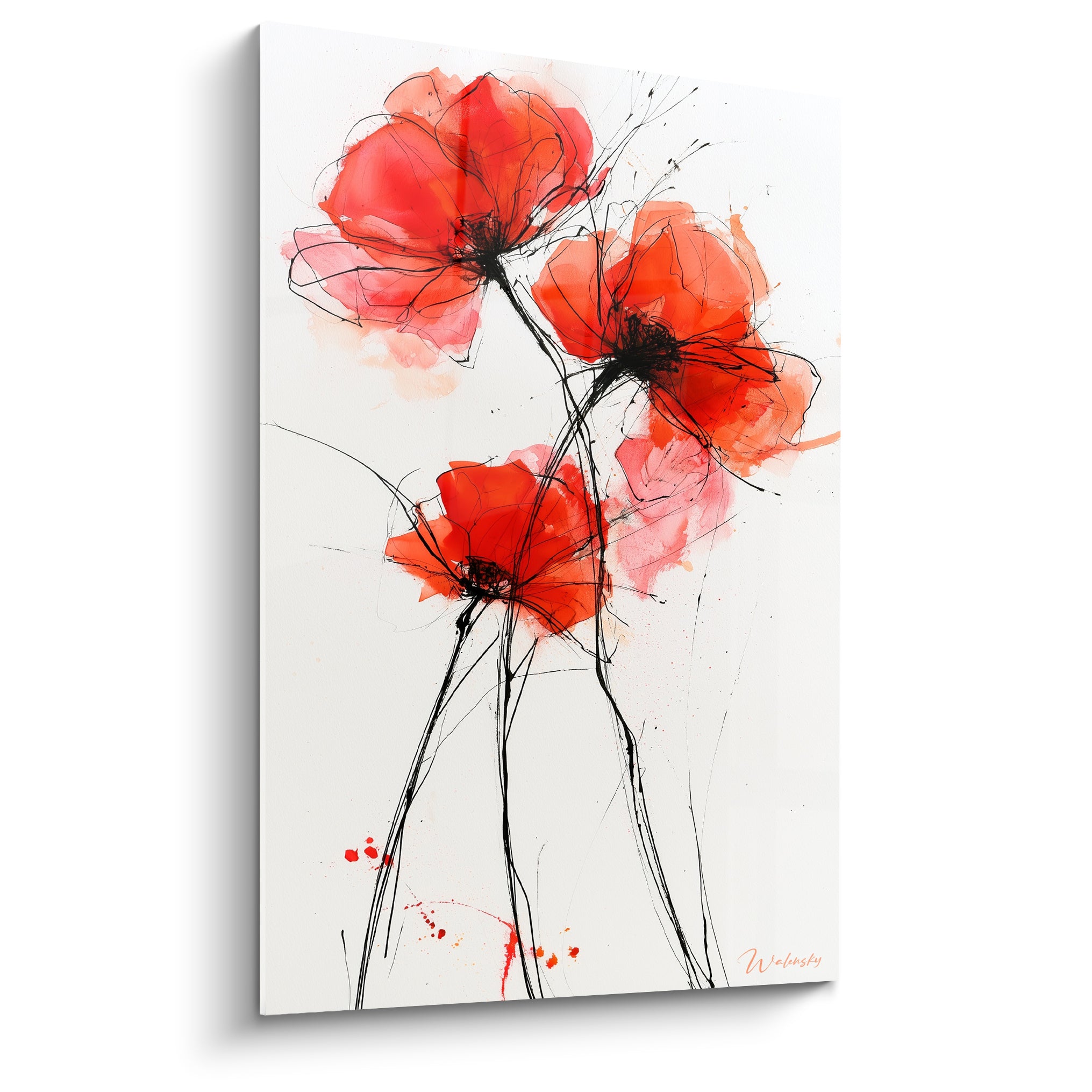 Coquelicot rouge et orangé aux tiges noires filiformes sur fond blanc épuré
