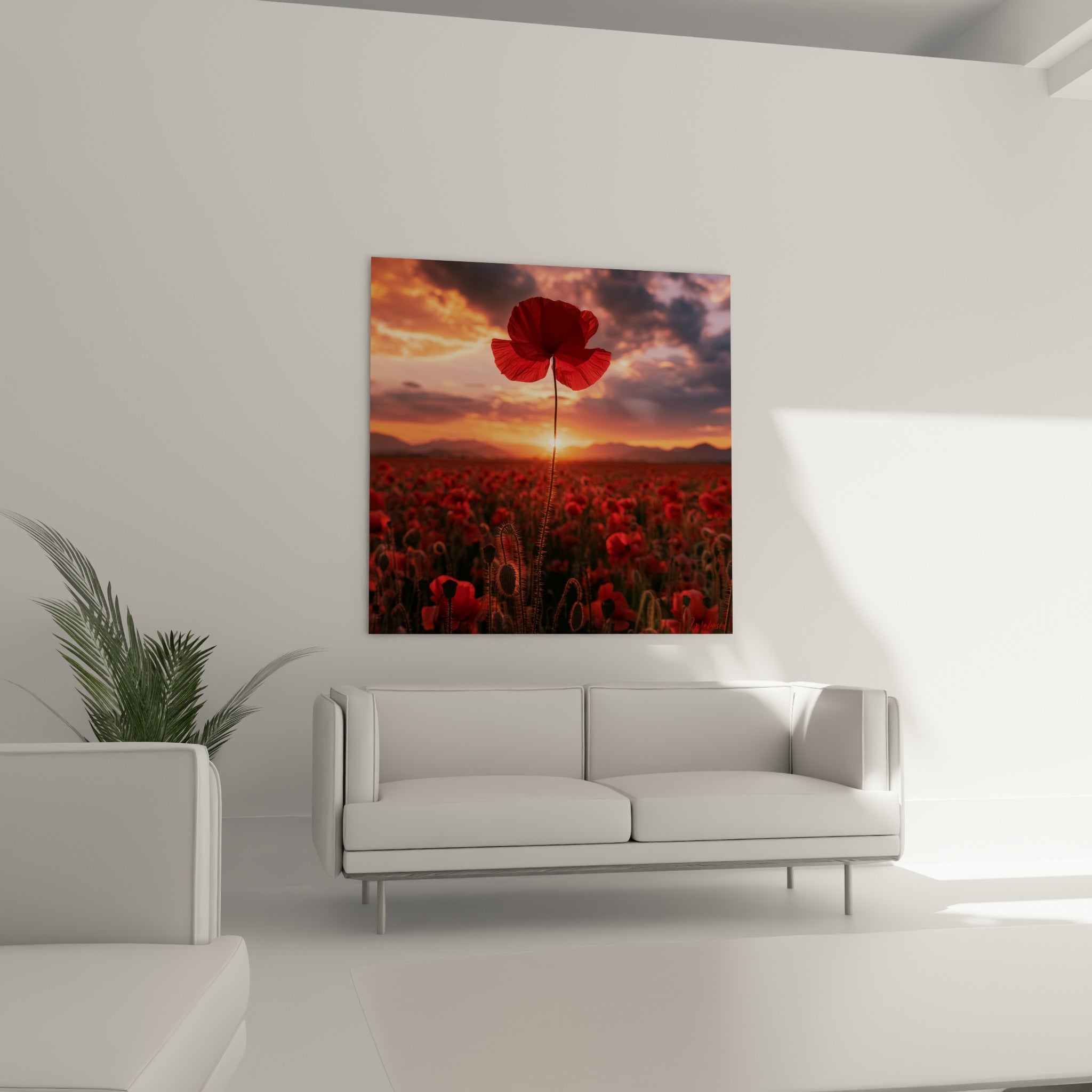 Fleur de coquelicot rouge et champ flou accrochée au-dessus d'un canapé dans un salon lumineux