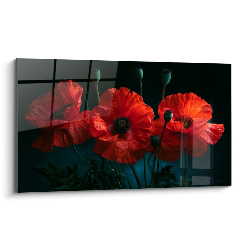 Tableau Coquelicots rouges aux pétales froissés - Fragilité lumineuse - Edition Coquelicot