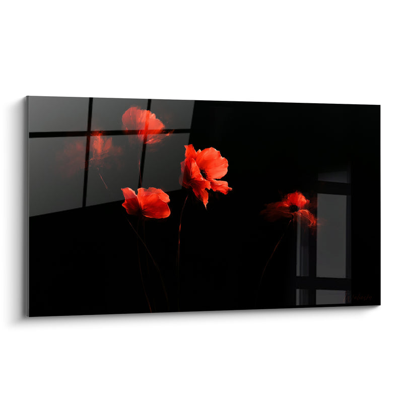 Tableau Coquelicots rouges sur fond anthracite nocturne - Lueur nocturne - Edition Coquelicot