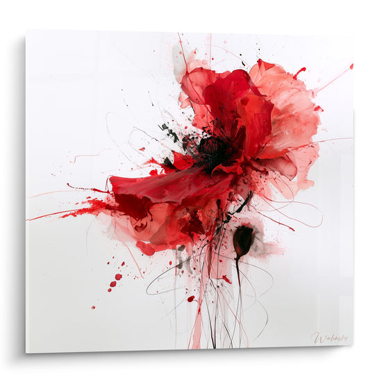 Coquelicot rouge et noir aux pétales éclatés, éclaboussures graphiques sur fond blanc lumineux