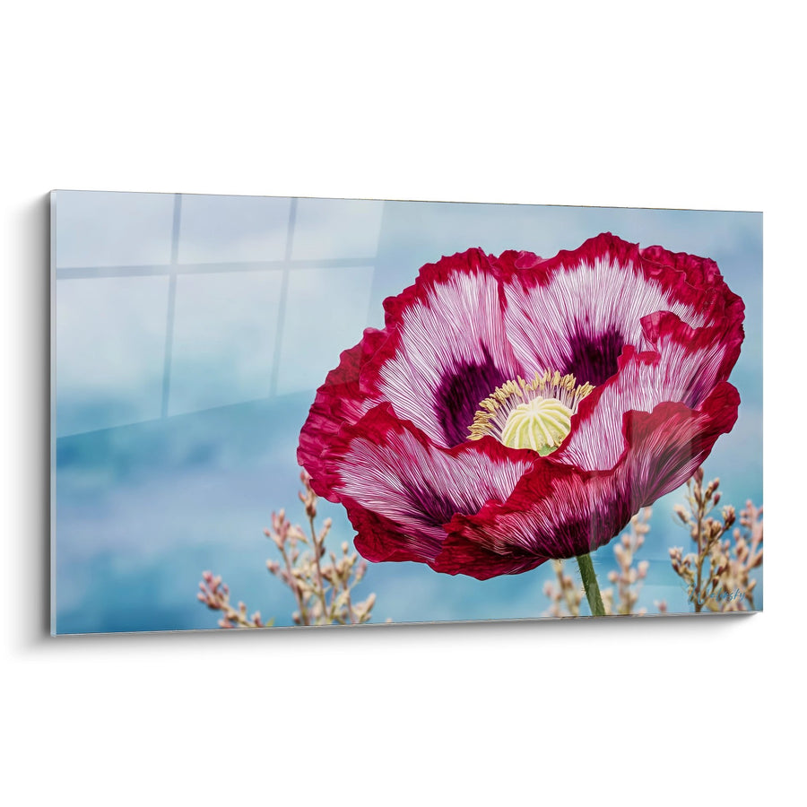 Tableau fleur rouge et rose au cœur jaune sur fond bleu ciel - Éclat floral - Edition Coquelicot