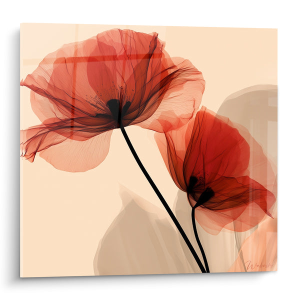 Red and Beige Translucent Poppies Painting - Breathless - Poppy Edition