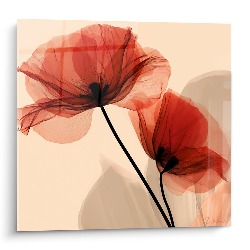 Tableau Coquelicots rouges et beige translucides - Souffle diaphane - Edition Coquelicot