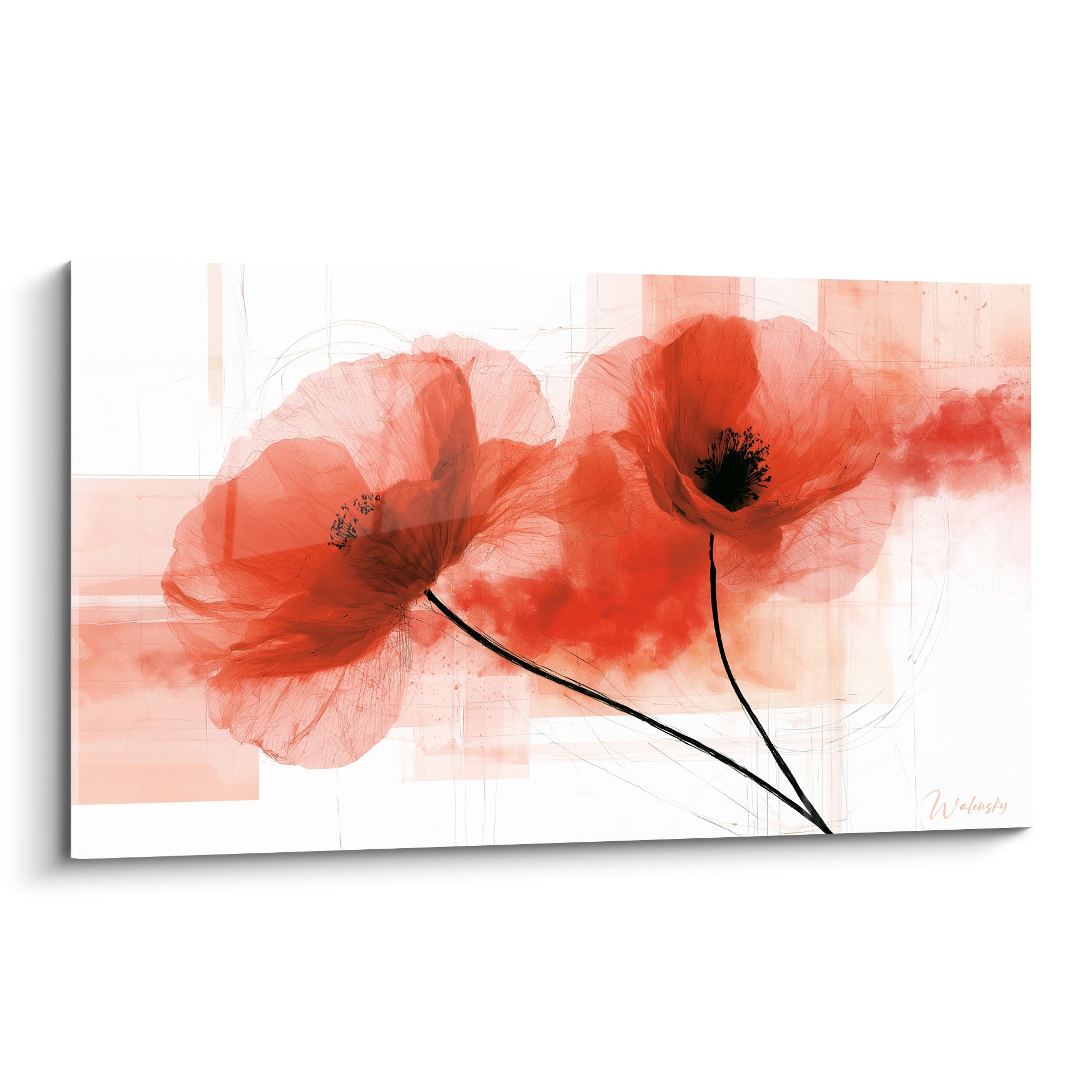 Coquelicots rouge vermillon translucides aux tiges noires sur fond blanc et ocre pâle