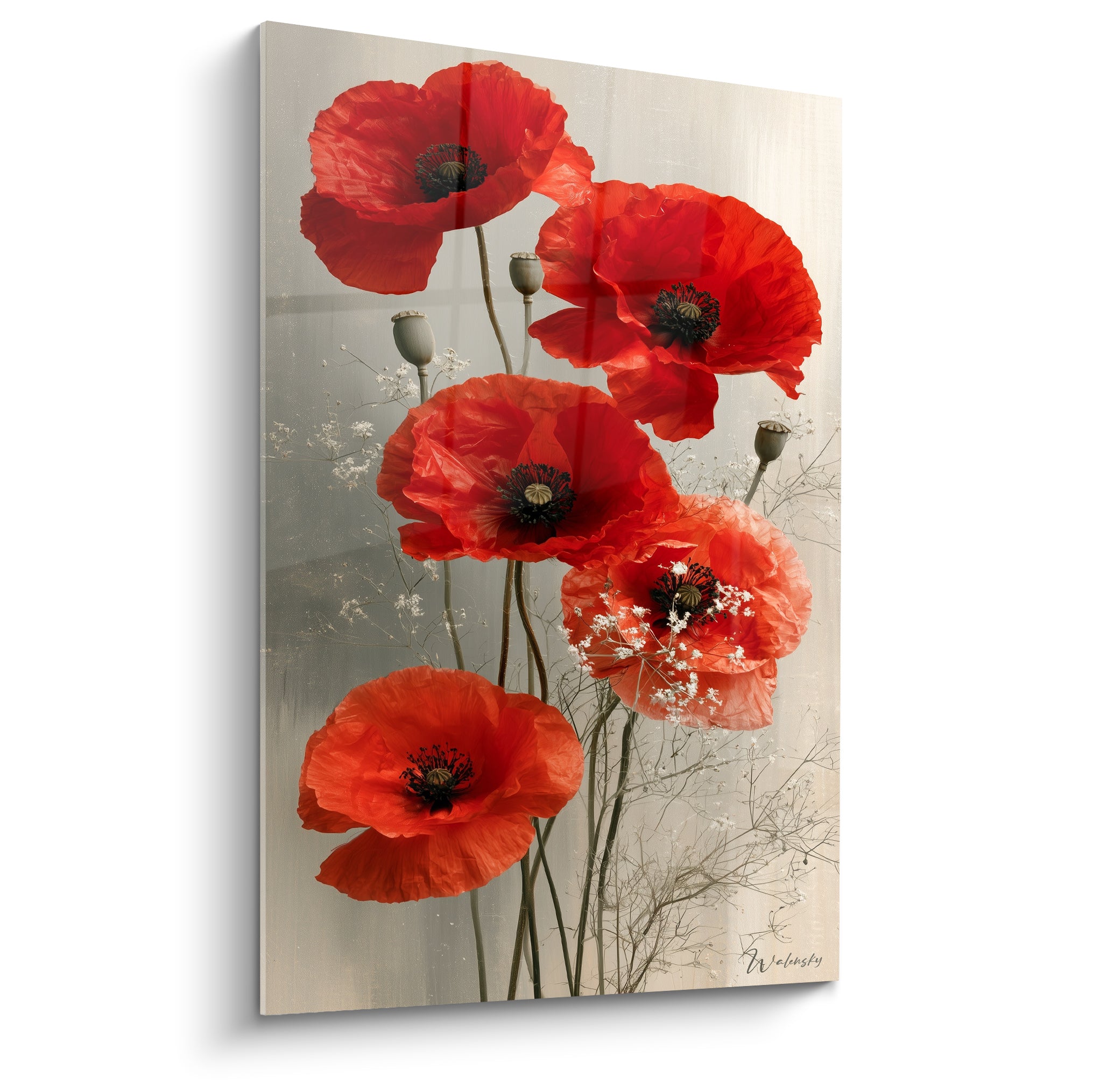 Coquelicots rouges épanouis aux cœurs sombres sur fond gris perle texturé et lumineux