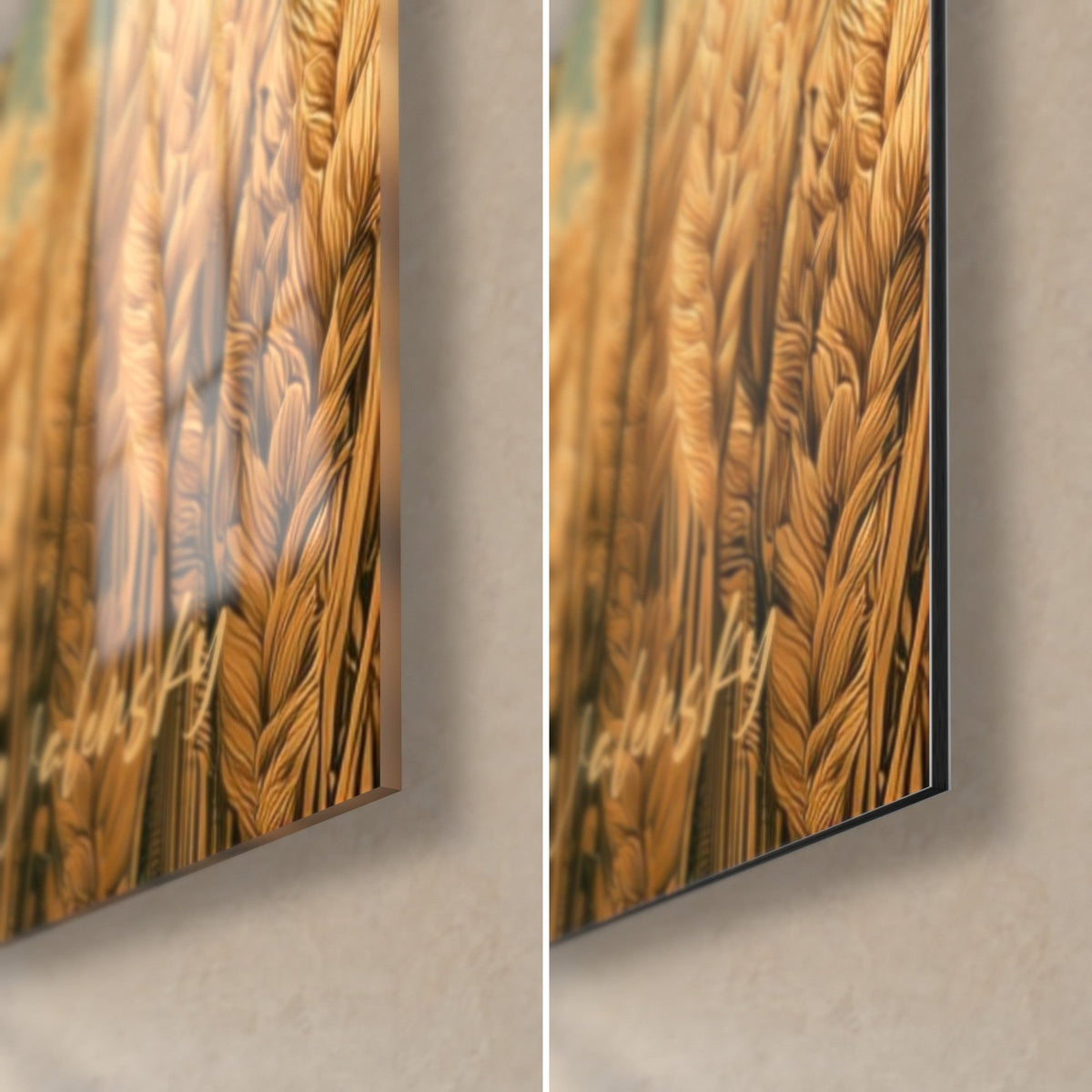 Quadro di spighe di grano ocra e steli scuri, angolo in basso a destra: vetro acrilico lucido a sinistra, Dibond nero opaco a destra, bordo da 3 mm