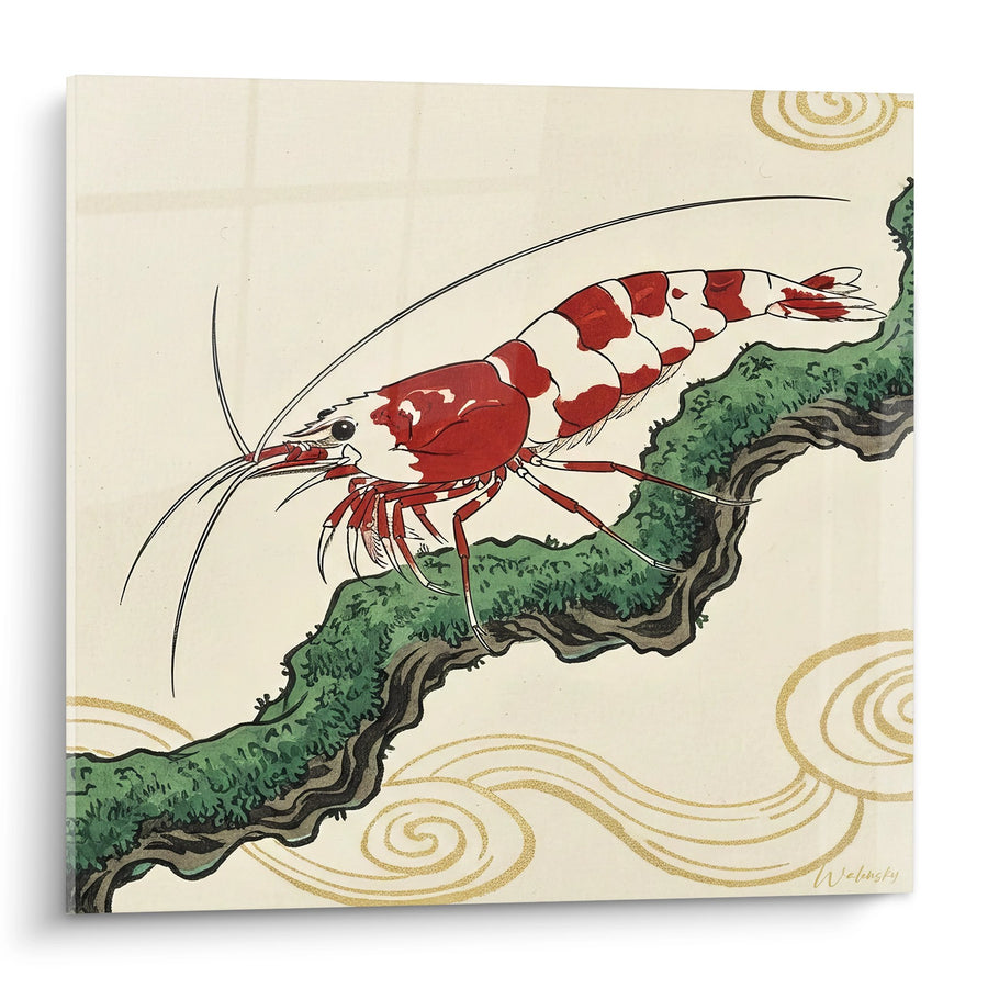 Tableau Crevette Rouge et Blanche sur Algues Vertes - Art Japonisant Aquatique - Edition Crevette