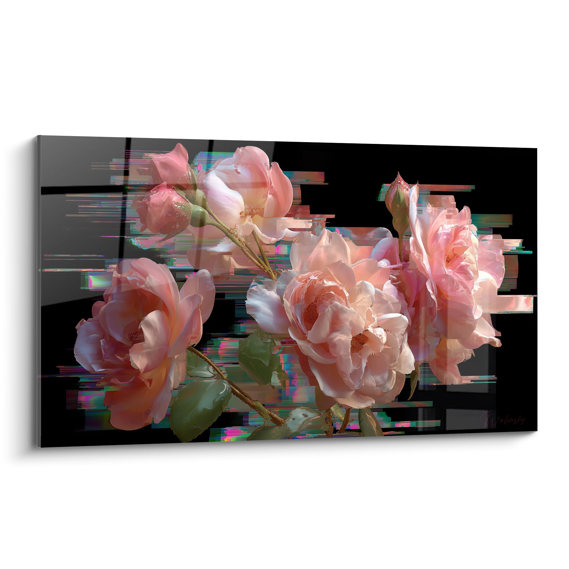 Roses rose saumon et pétales pâles se déforment en fragments turquoise sur fond noir