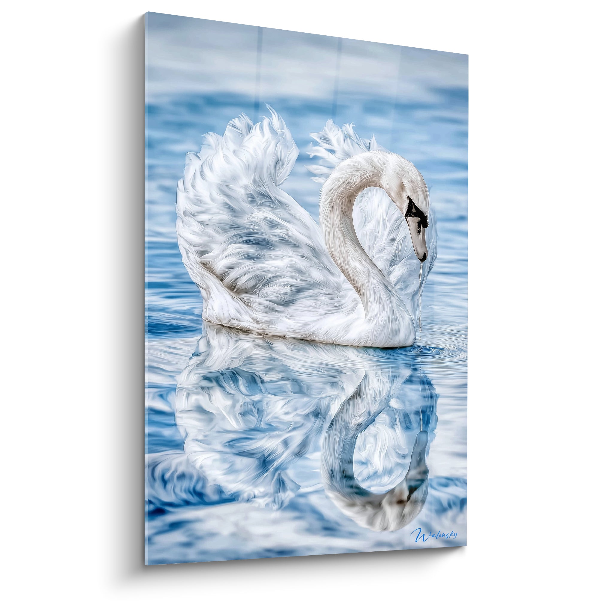 Cygne blanc aux ailes déployées glissant sur une eau bleu ciel avec reflet miroir