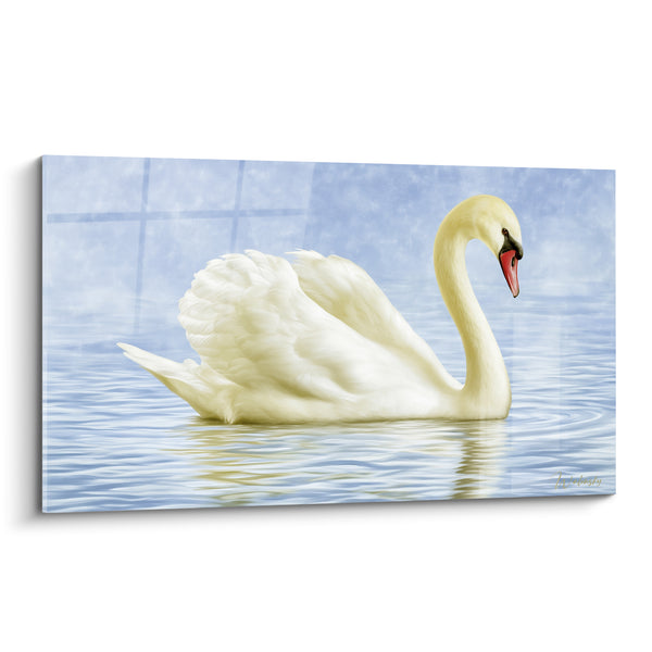 White Swan with Inflated Wings on Bluish Water - Calm Mirror - Swan Edition