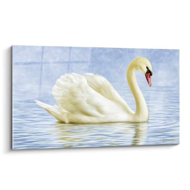 Tableau Cygne blanc aux ailes gonflées sur eau bleutée - Miroir tranquille - Edition Cygne