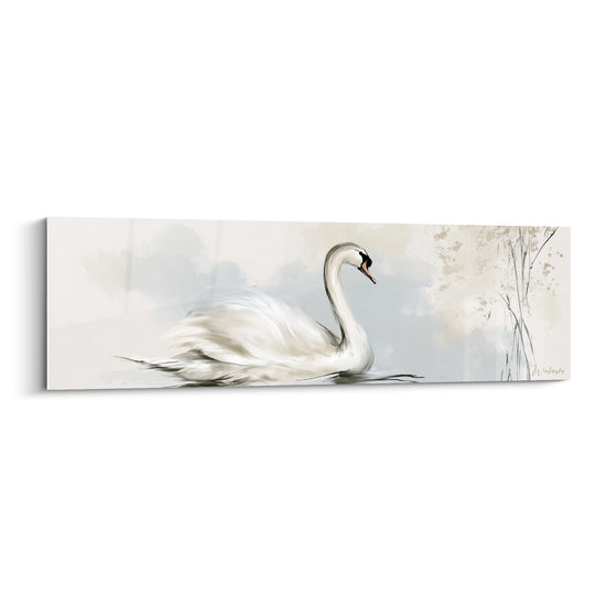 Cygne blanc glissant sur une eau grise, plumage vaporeux et roseaux beige en arrière-plan