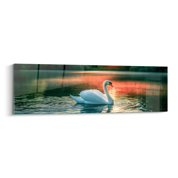 Leinwand Schwan weiß auf orangefarbenem Wasser - Anmut der Dämmerung - Edition Schwan