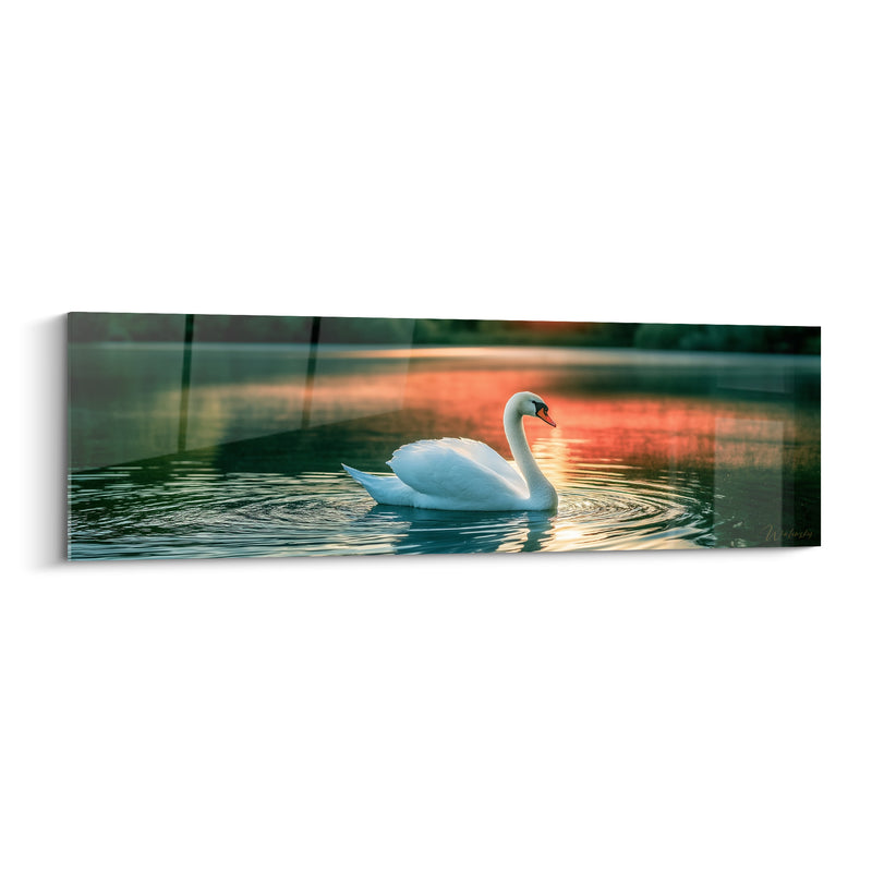 Tableau Cygne blanc sur eau orangée - Grâce du crépuscule - Edition Cygne