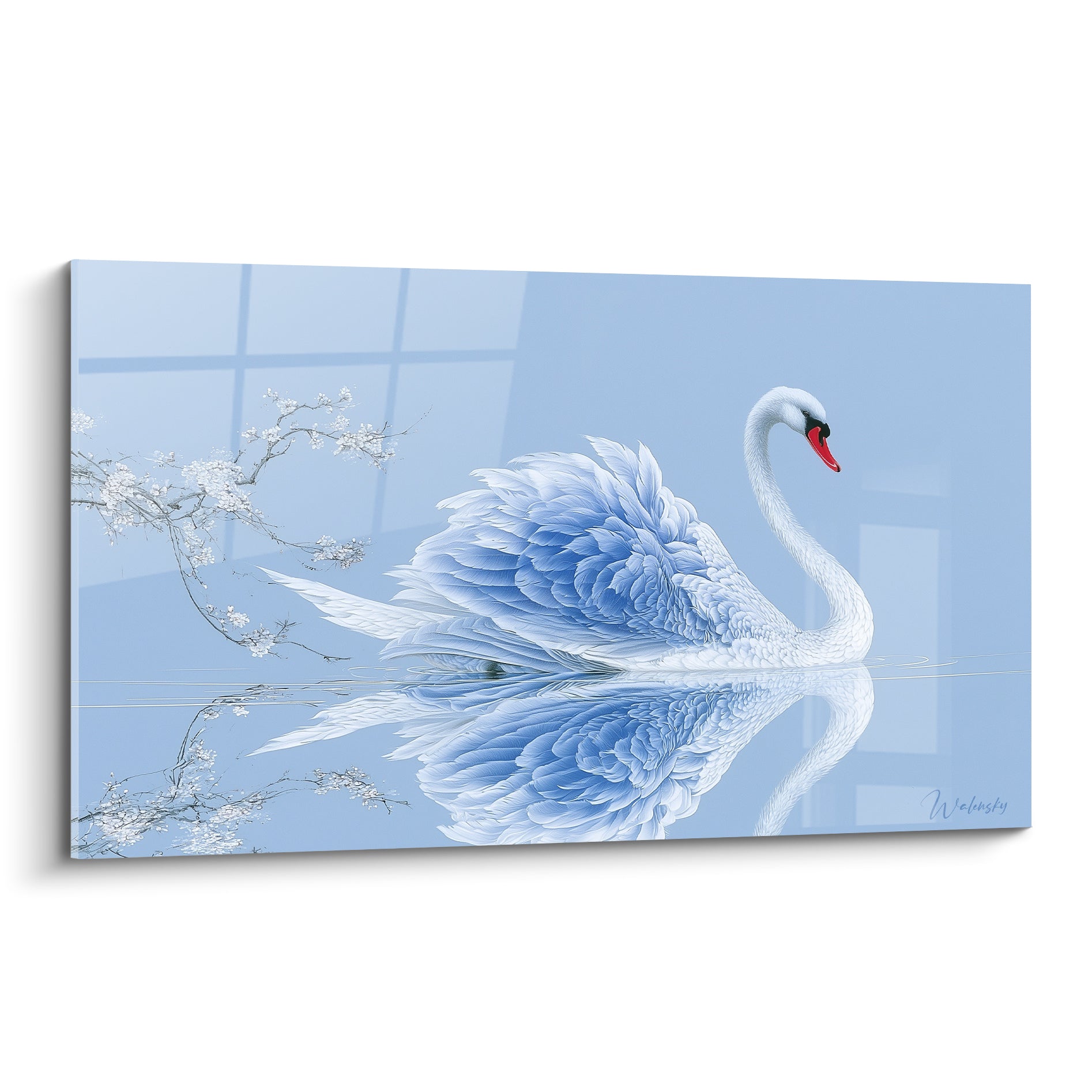 Cygne blanc et bleu poudré déployant ses ailes, reflet net sur une eau miroir