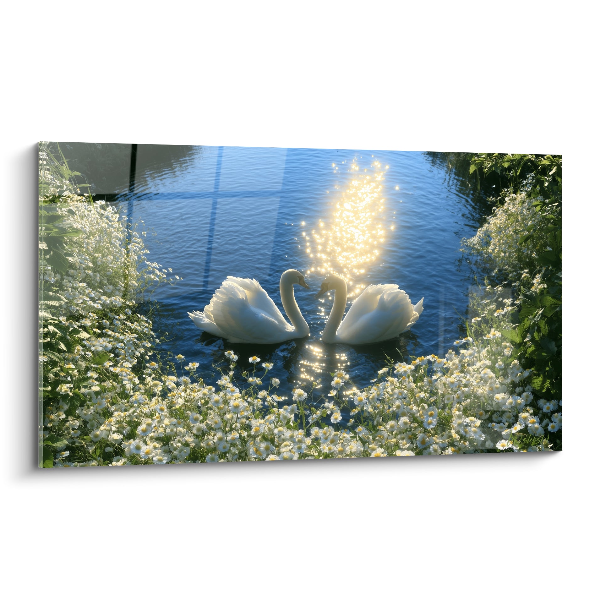 Cygnes blancs formant un cœur doré sur une eau bleu marine, entourés de marguerites blanches