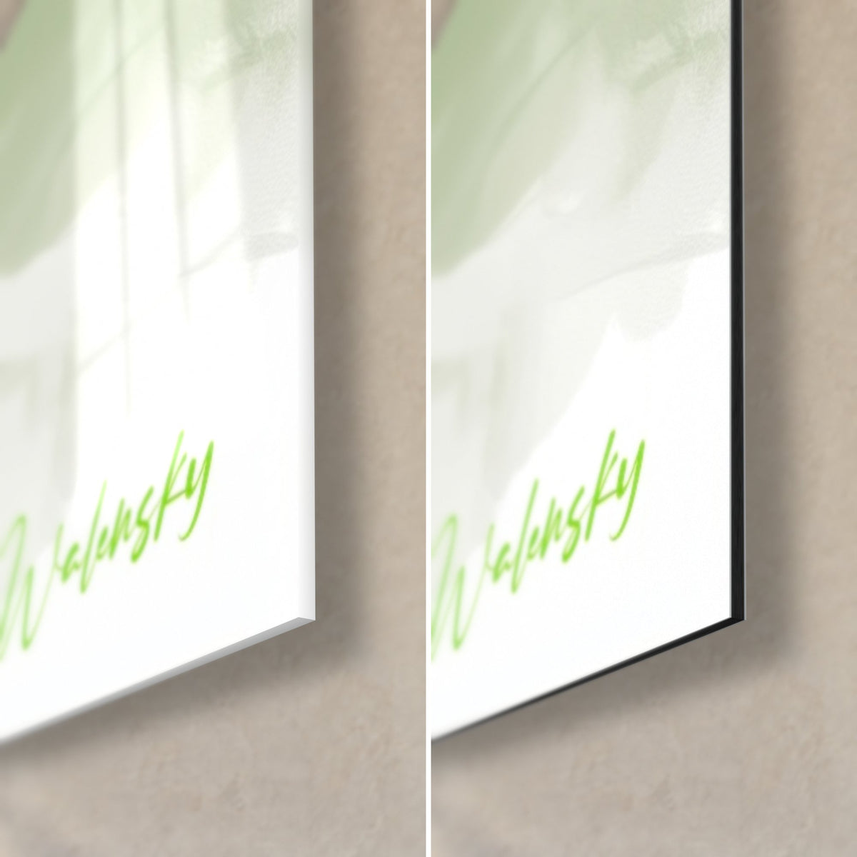 Tableau oiseau aquatique blanc et vert amande, signature Walensky verte, coin bas droit en verre brillant et Dibond mat