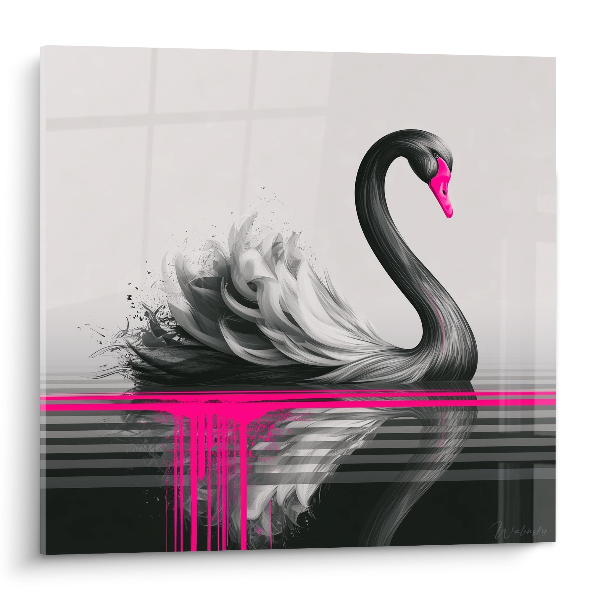 Cygne noir au plumage graphite et bec rose fluo, ligne fuchsia traversant l'eau immobile