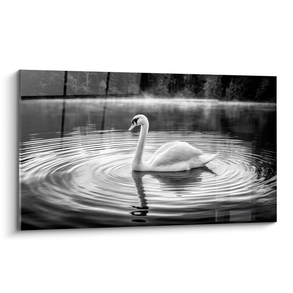 White Swan Painting with Concentric Ripples - Silent Wake - Swan Edition