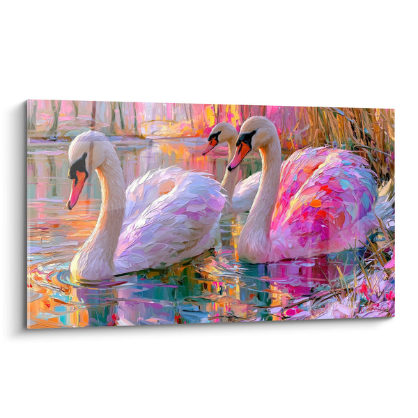 Leinwand Schwäne mit rosafarbenen irisierenden Federn - Ballett auf dem See - Edition Schwan