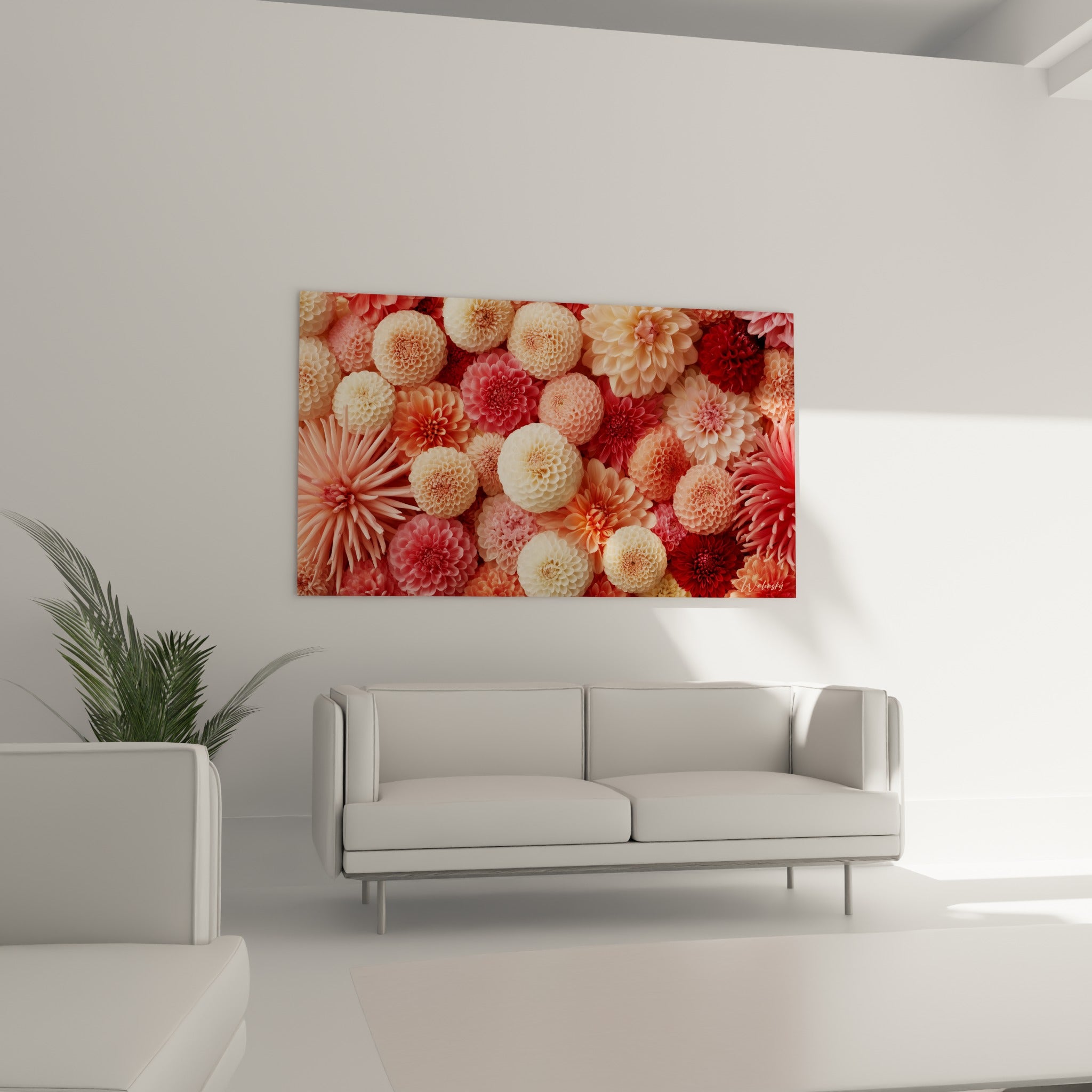 Fleurs de dahlia bordeaux et corail entrelacées, suspendues au-dessus d'un canapé dans un salon lumineux