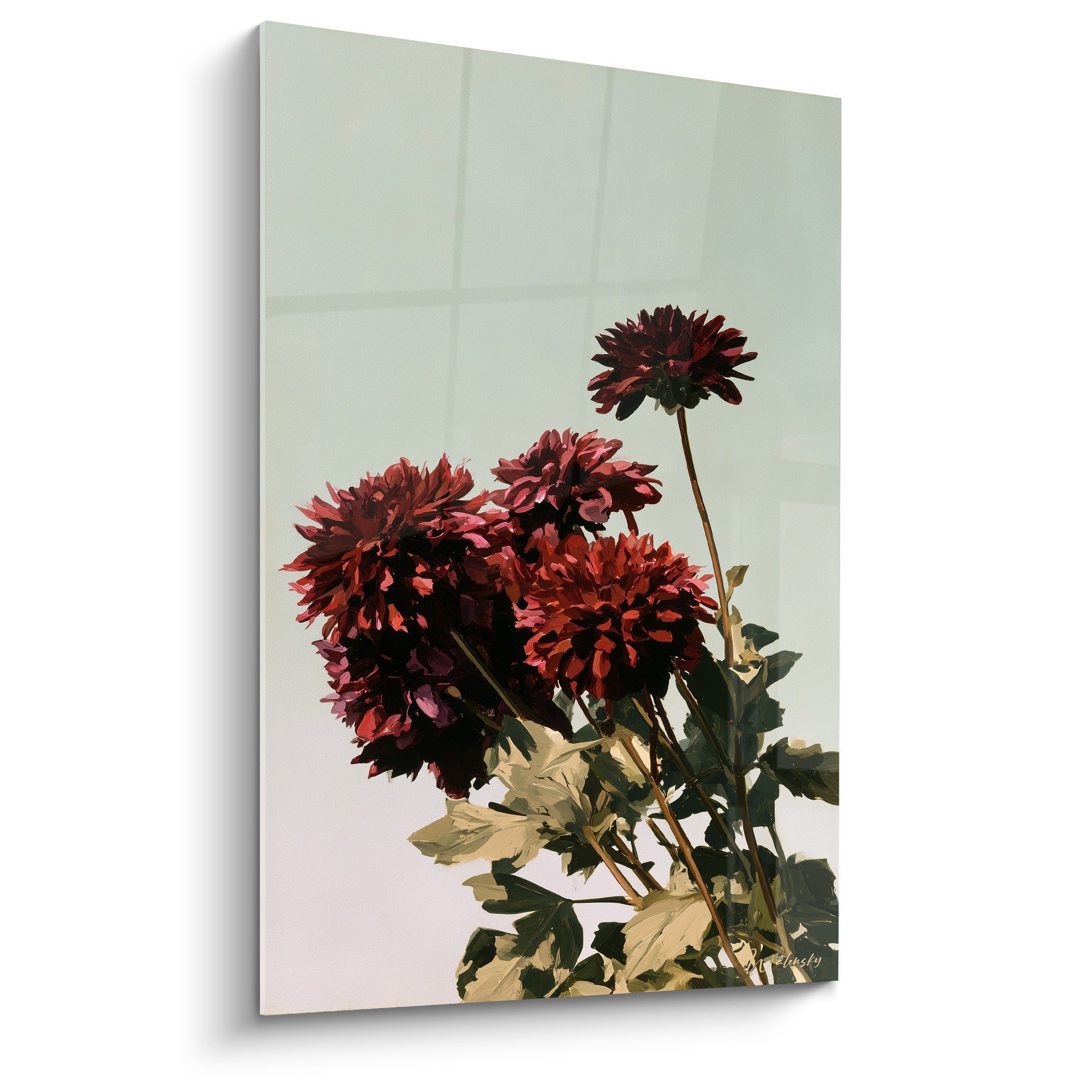 Dahlias bordeaux et roses aux pétales denses sur fond vert pâle lumineux avec feuillage olive
