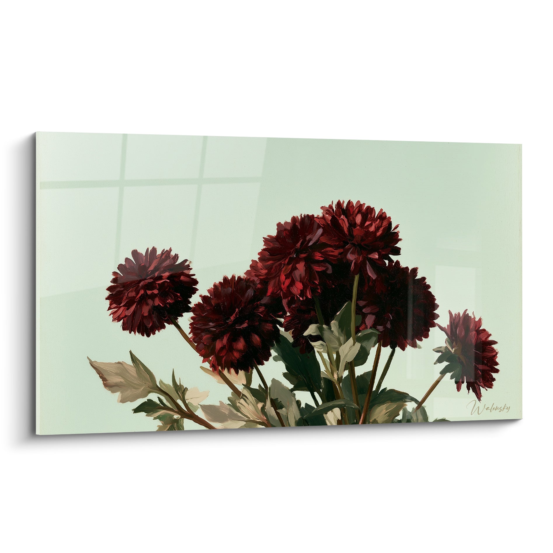 Dahlias bordeaux en grappe dense sur fond vert amande, pétales sombres et lumière douce